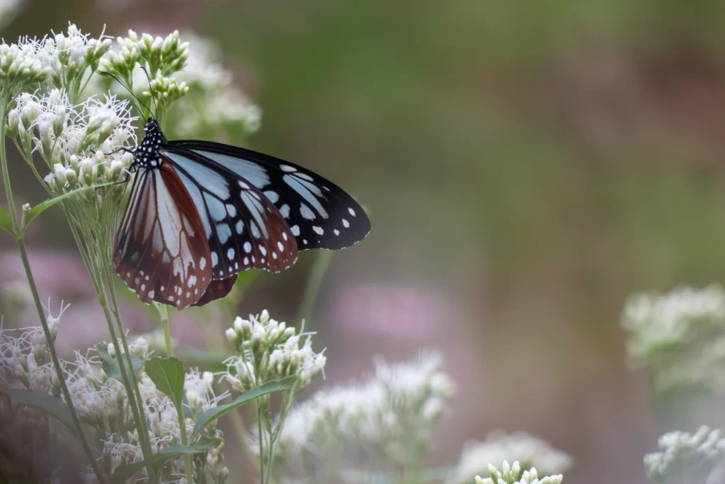 社内でできるWeb用写真づくりセミナーのサンプル写真